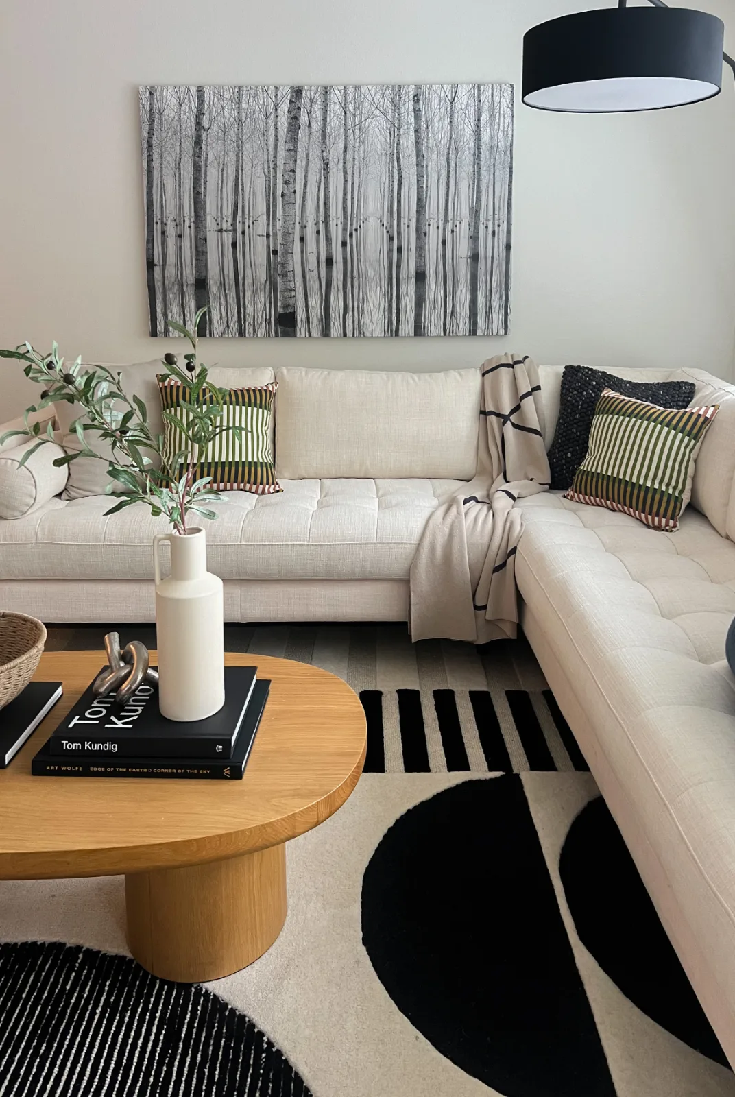 The Park in Bellevue: Contemporary living room with cream sectional sofa and graphic rug