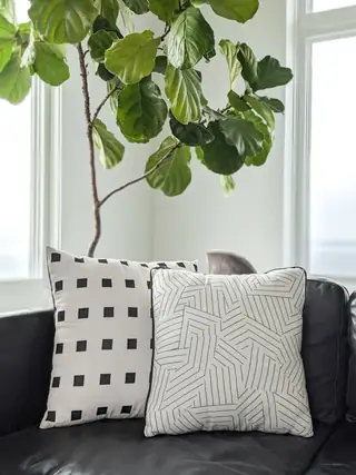 Two geometric patterned throw pillows sit on a dark leather couch in front of a tall fiddle-leaf fig plant.
