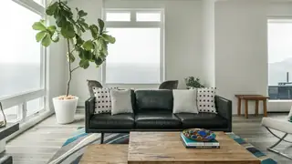 A modern living room features a dark leather sofa with patterned throw pillows, a rustic wooden coffee table, and a tall potted fiddle-leaf fig tree framed by large windows.