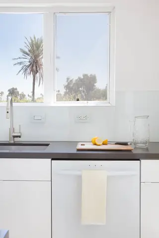 Pebble Beach Drive, Palm Springs: A bright modern kitchen counter features a sleek sink, white dishwasher, wooden cutting board with lemons, and a window with a palm tree view