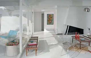 Sun-drenched mid-century modern living room
