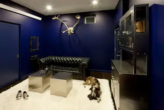 The Aqua Lair, Lake Sammamish: A moody lounge features deep blue walls, a black leather chesterfield sofa, metallic cube coffee tables, and a dog lying on a white shag rug